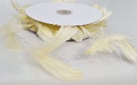 Federn am Draht - Federband creme 10 Meter