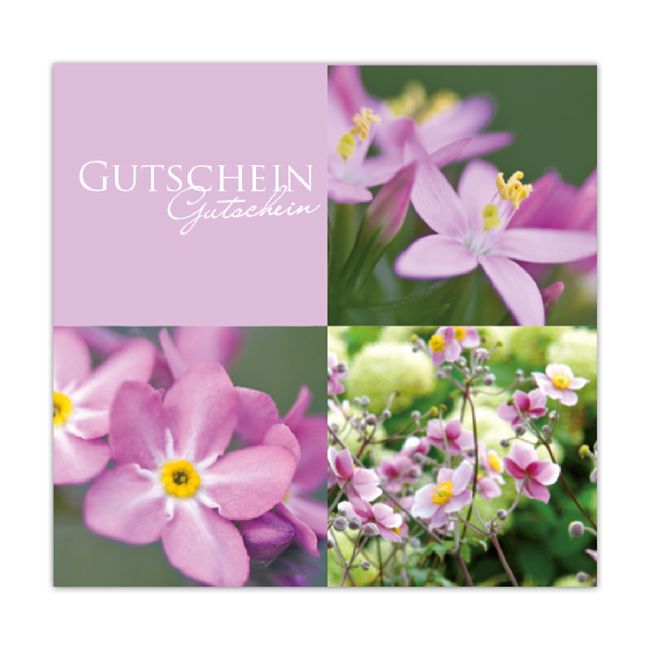 Gutschein Lila Flowers Present 12x12cm  inkl.Umschlag