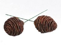 Platyspermum angedrahtet naturbraun 55 Stück