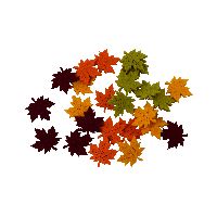 Ahornlaub Streudeko herbstlich86365 mit Klebepunkt 3x0,3cm Filz Herbstlaub